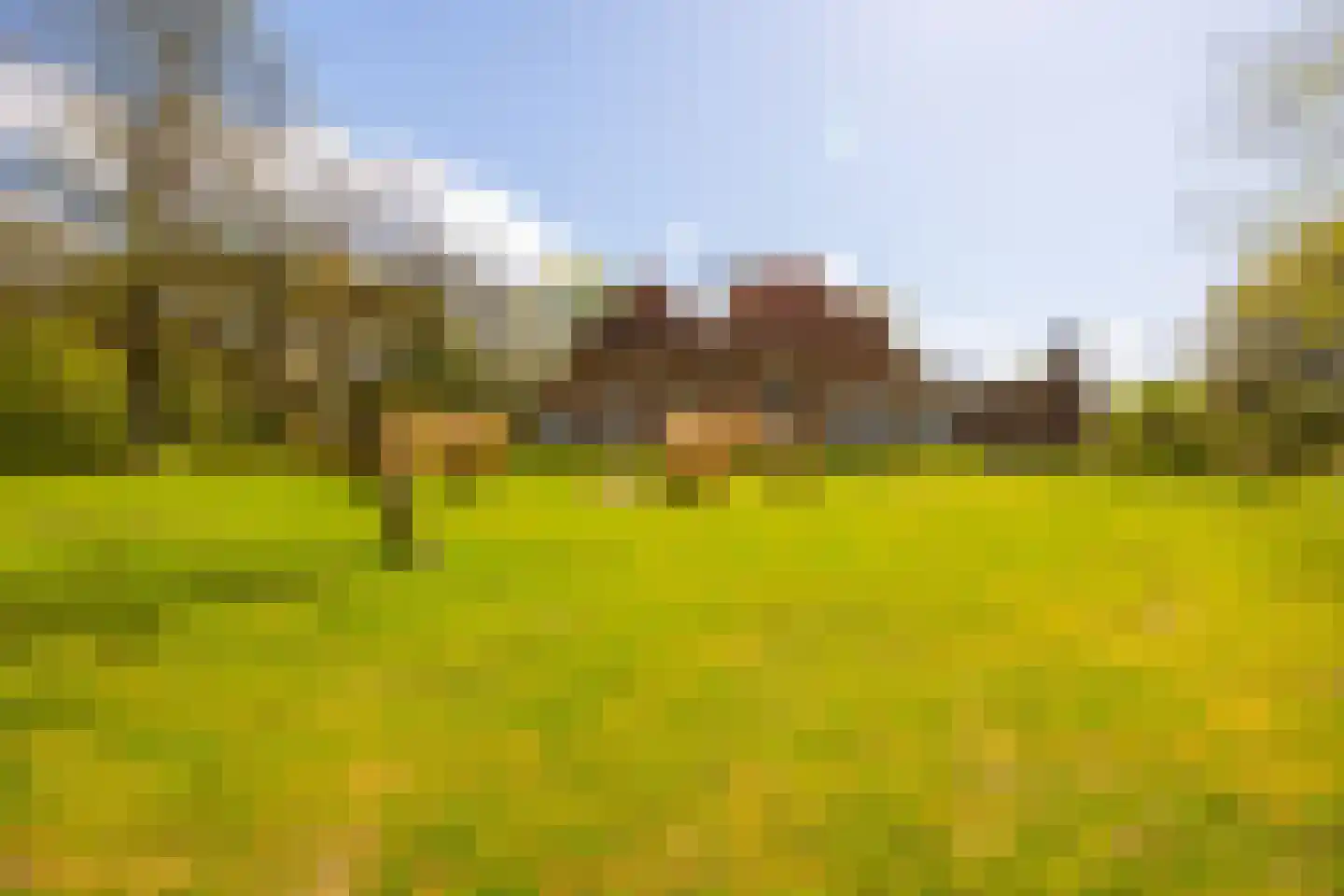 't Rijkenbarg 1 Ruurlo thumbnail 7