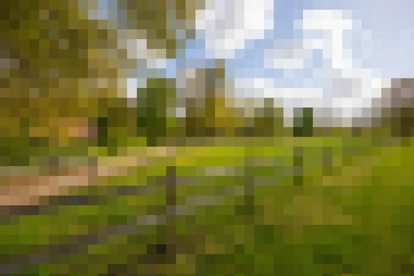 't Rijkenbarg 1 Ruurlo thumbnail 70