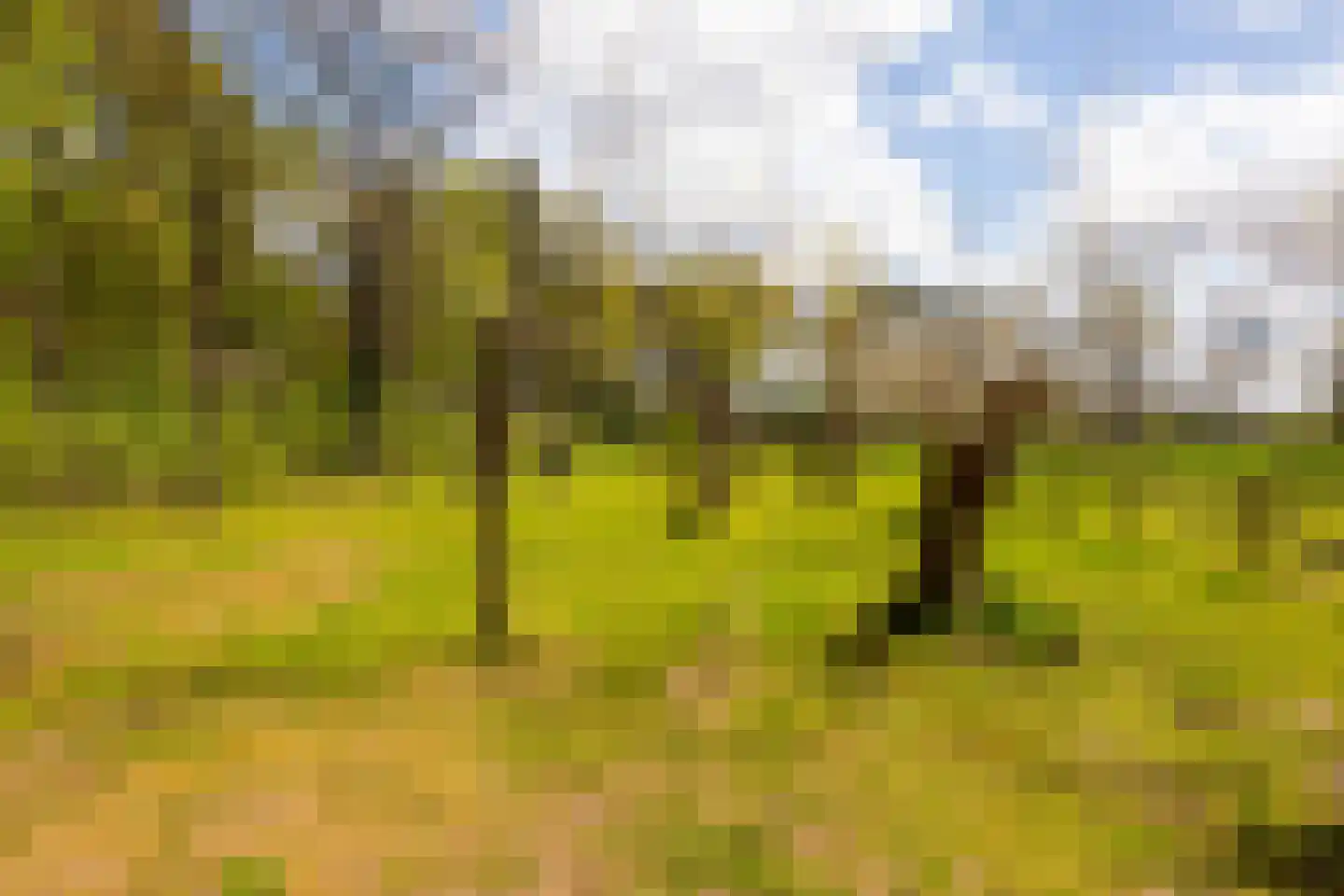 't Rijkenbarg 1 Ruurlo thumbnail 71