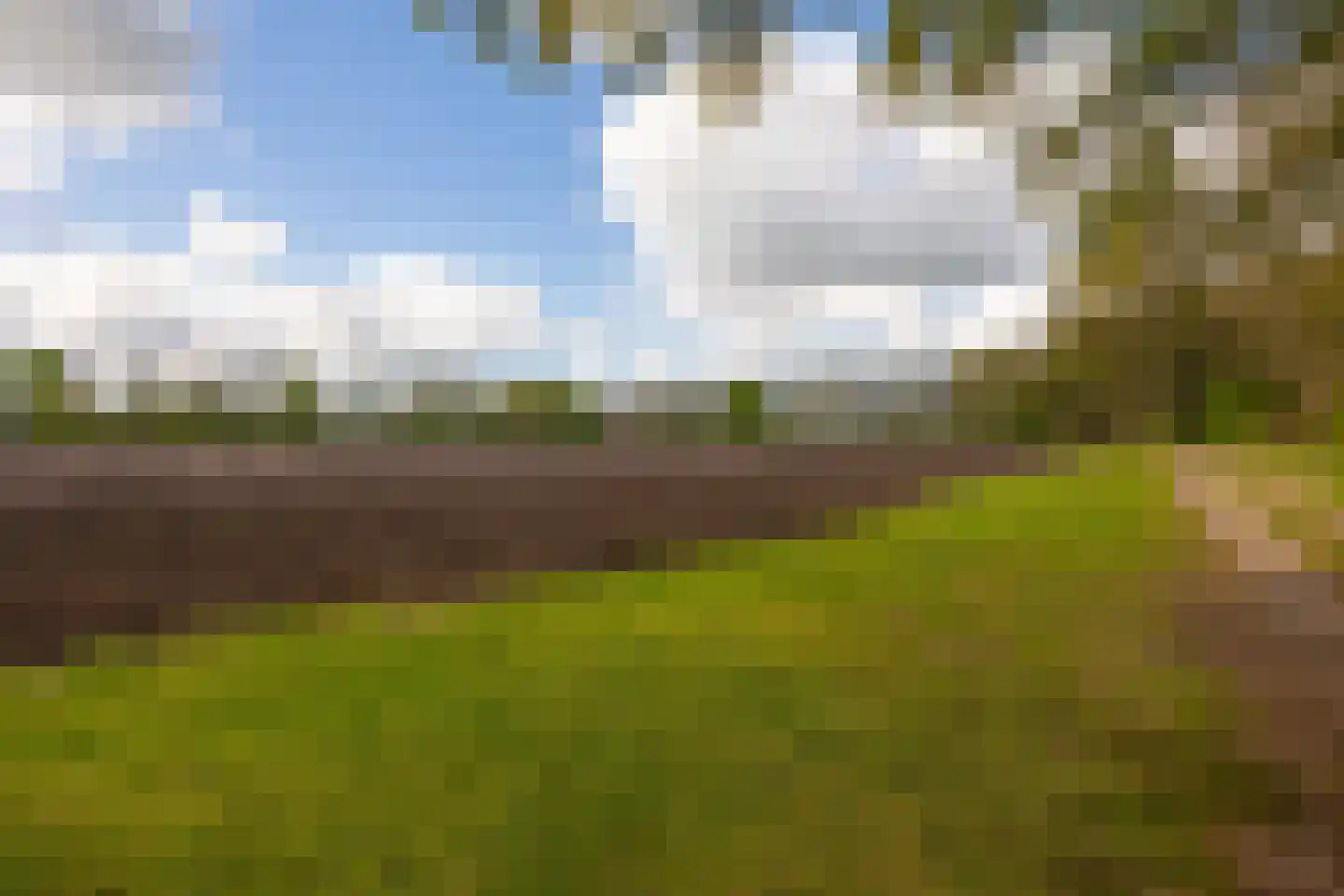 't Rijkenbarg 1 Ruurlo thumbnail 72