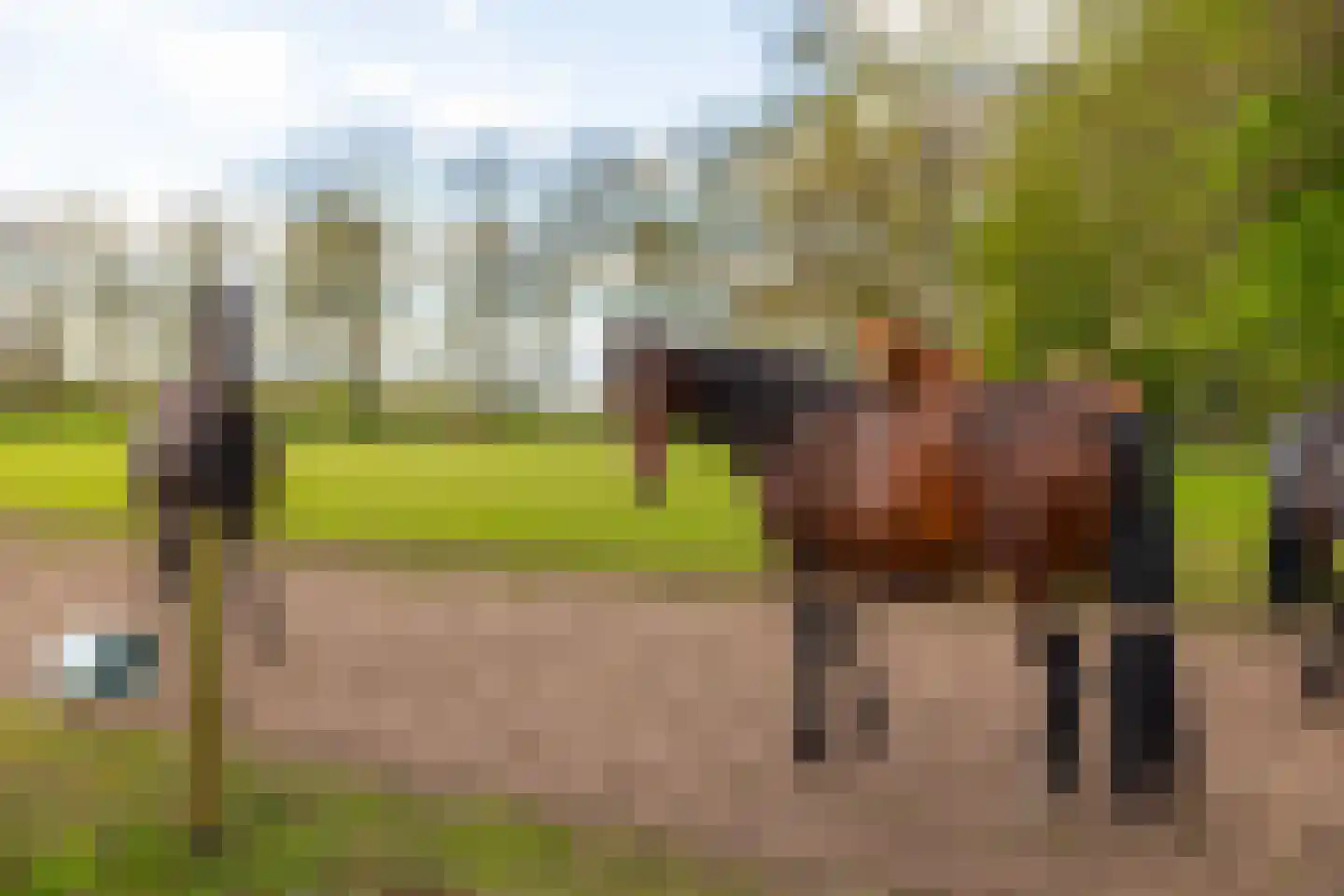 't Rijkenbarg 1 Ruurlo thumbnail 73