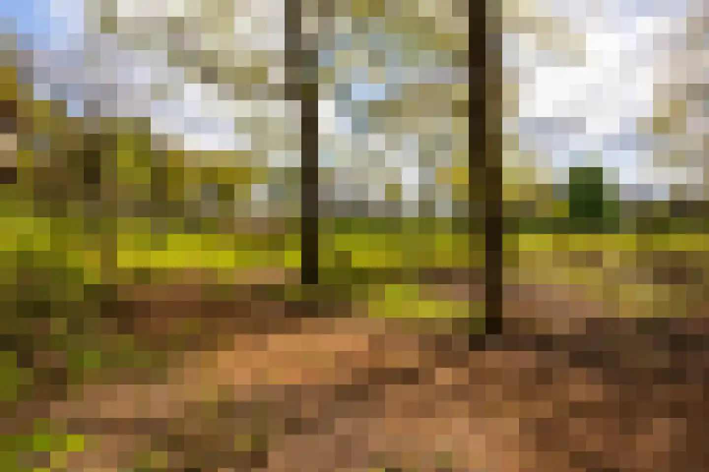 't Rijkenbarg 1 Ruurlo thumbnail 74
