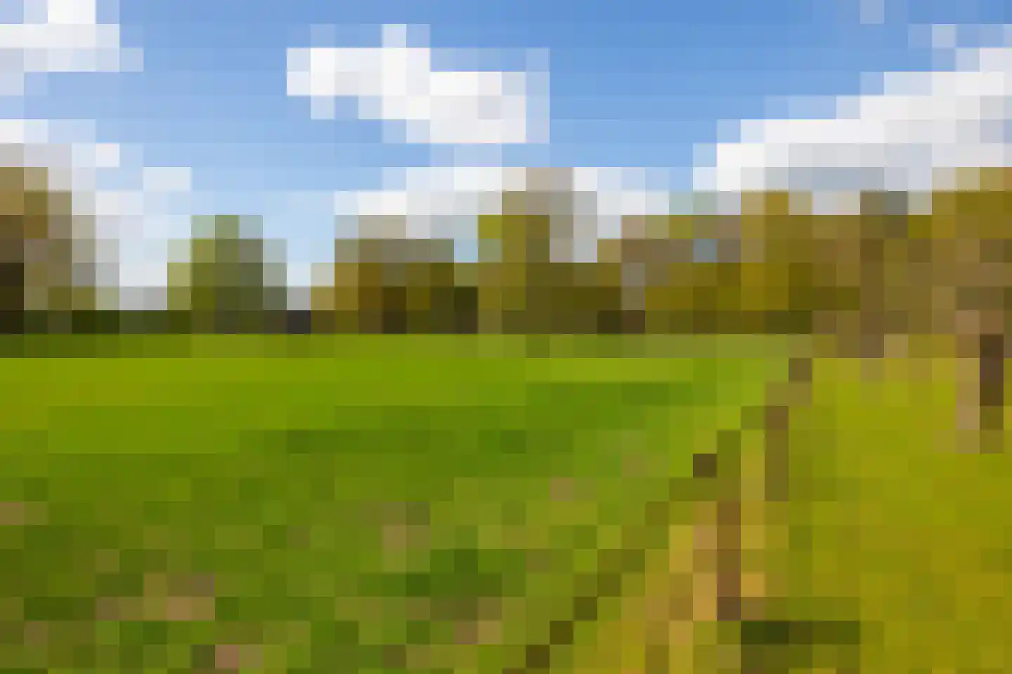 't Rijkenbarg 1 Ruurlo thumbnail 75