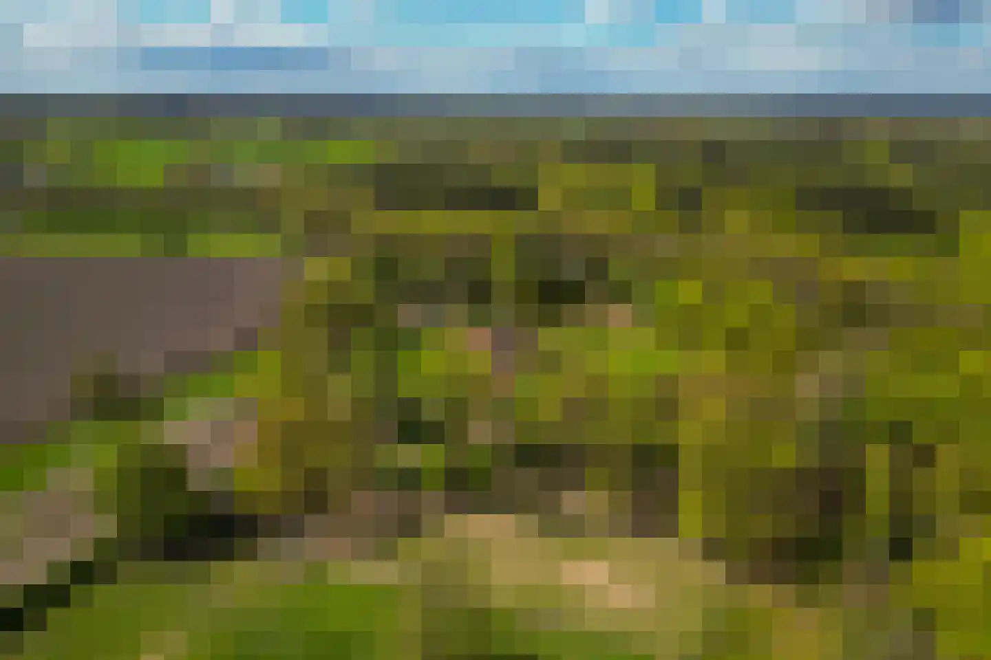 't Rijkenbarg 1 Ruurlo thumbnail 77