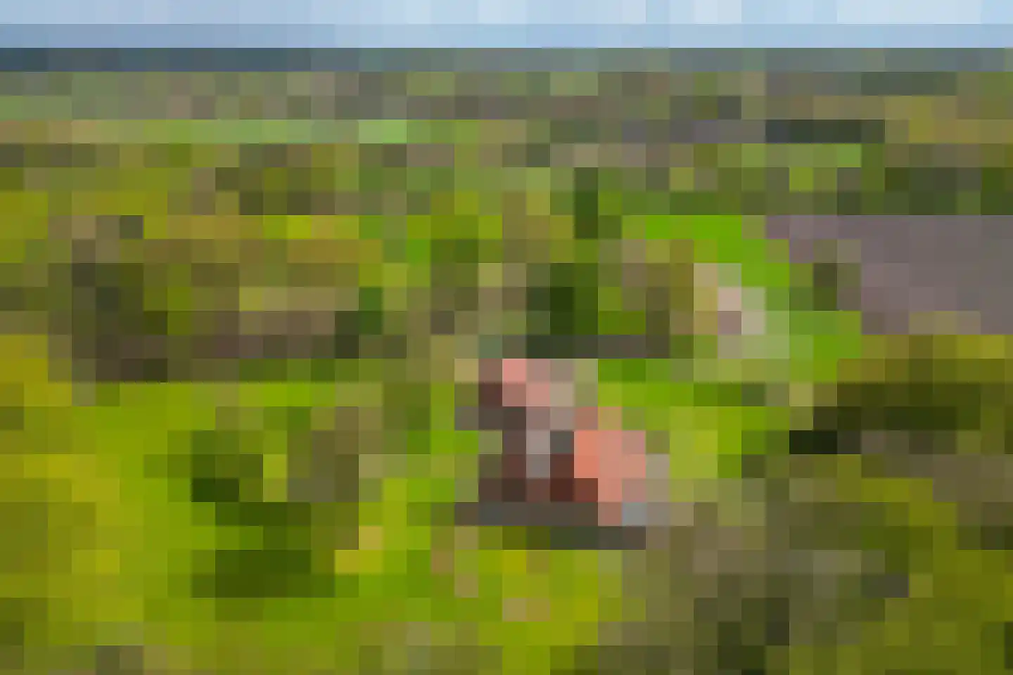 't Rijkenbarg 1 Ruurlo thumbnail 79