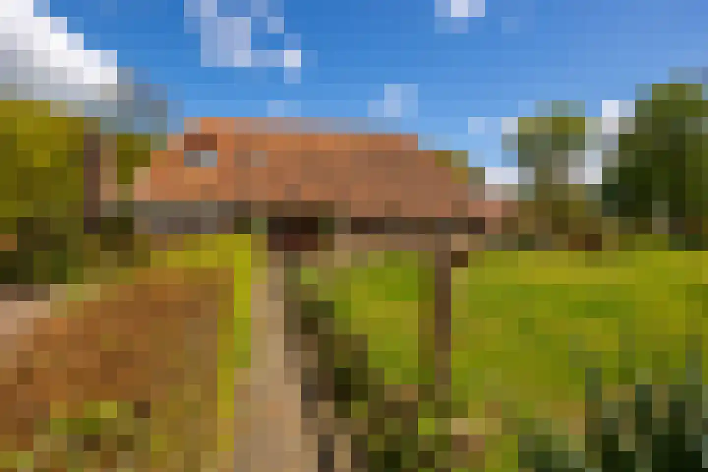 't Rijkenbarg 1 Ruurlo thumbnail 8