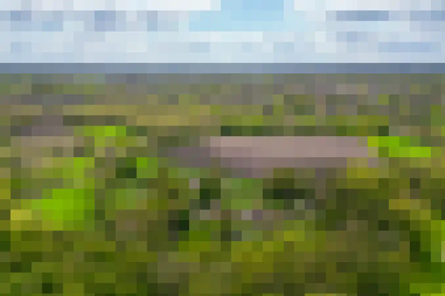 't Rijkenbarg 1 Ruurlo thumbnail 80