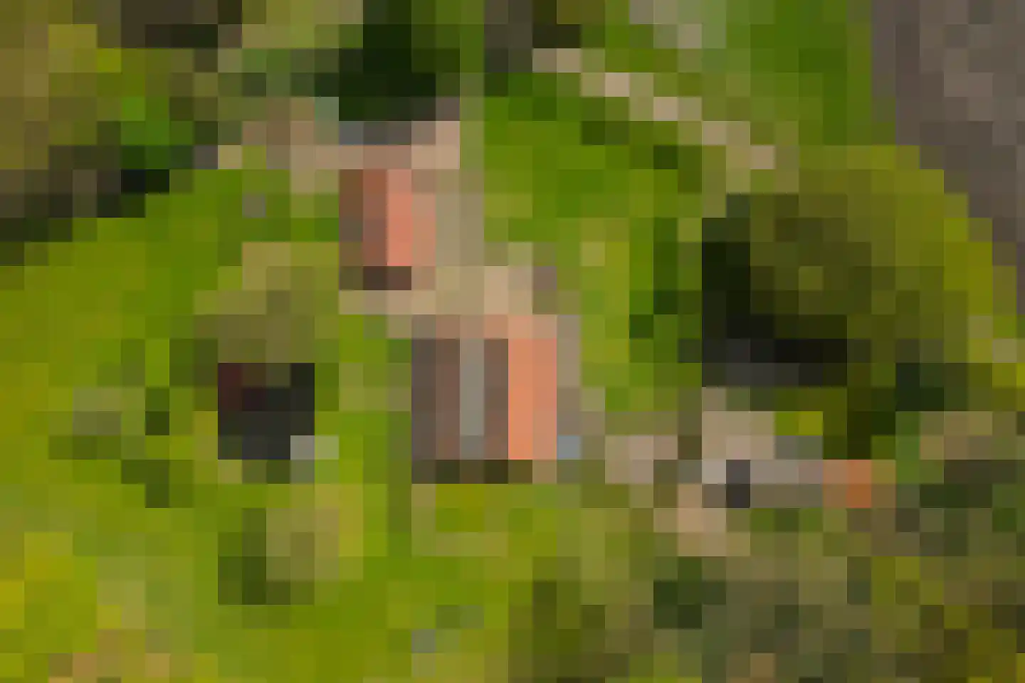 't Rijkenbarg 1 Ruurlo thumbnail 81
