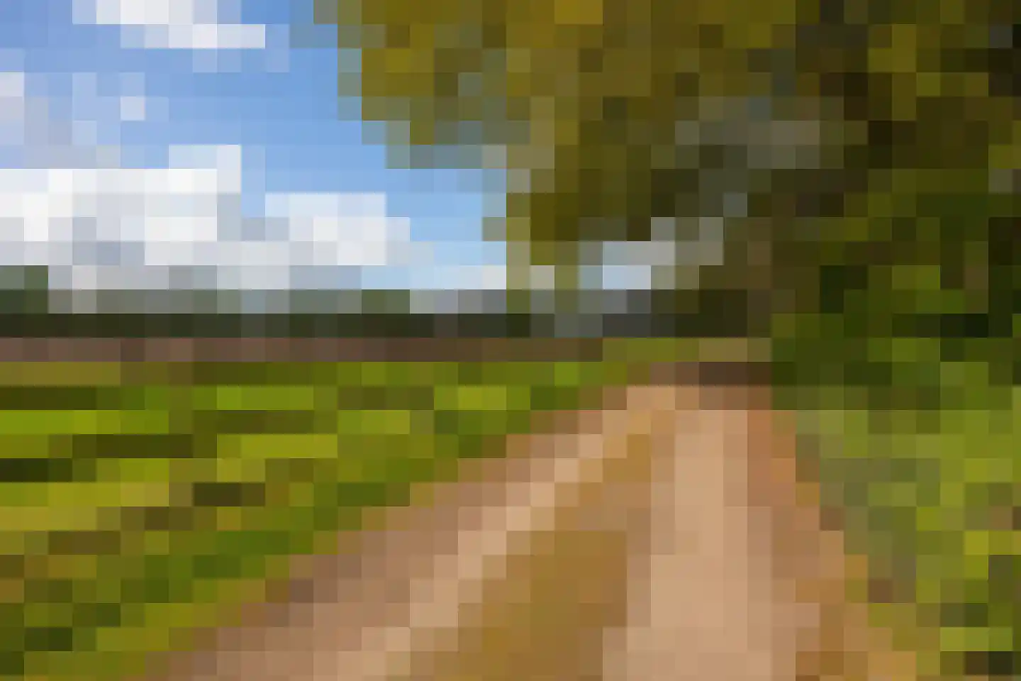 't Rijkenbarg 1 Ruurlo thumbnail 83