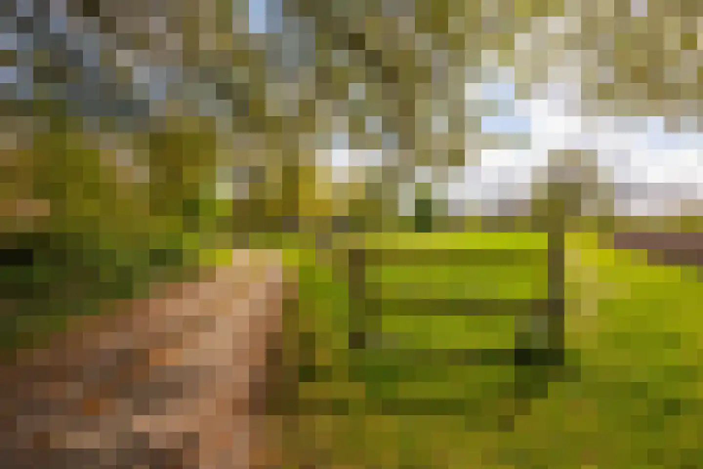 't Rijkenbarg 1 Ruurlo thumbnail 84