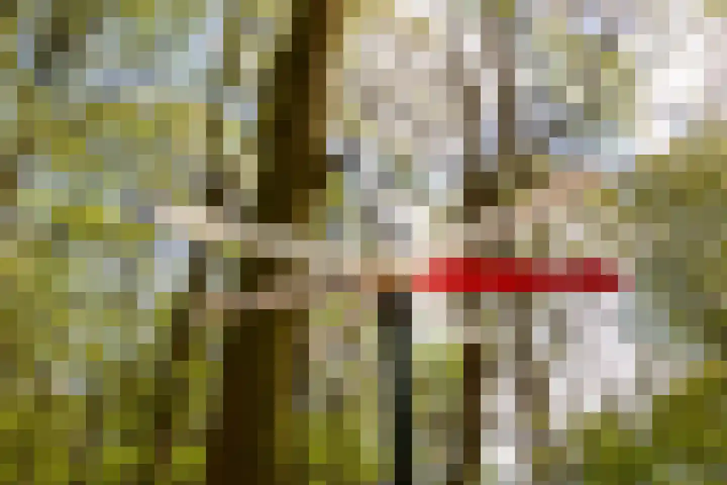 't Rijkenbarg 1 Ruurlo thumbnail 85