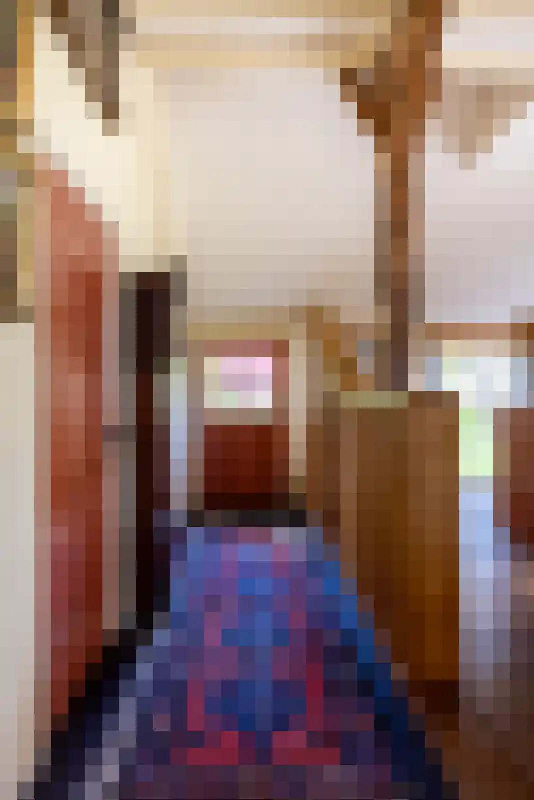 't Rijkenbarg 1 Ruurlo thumbnail 9