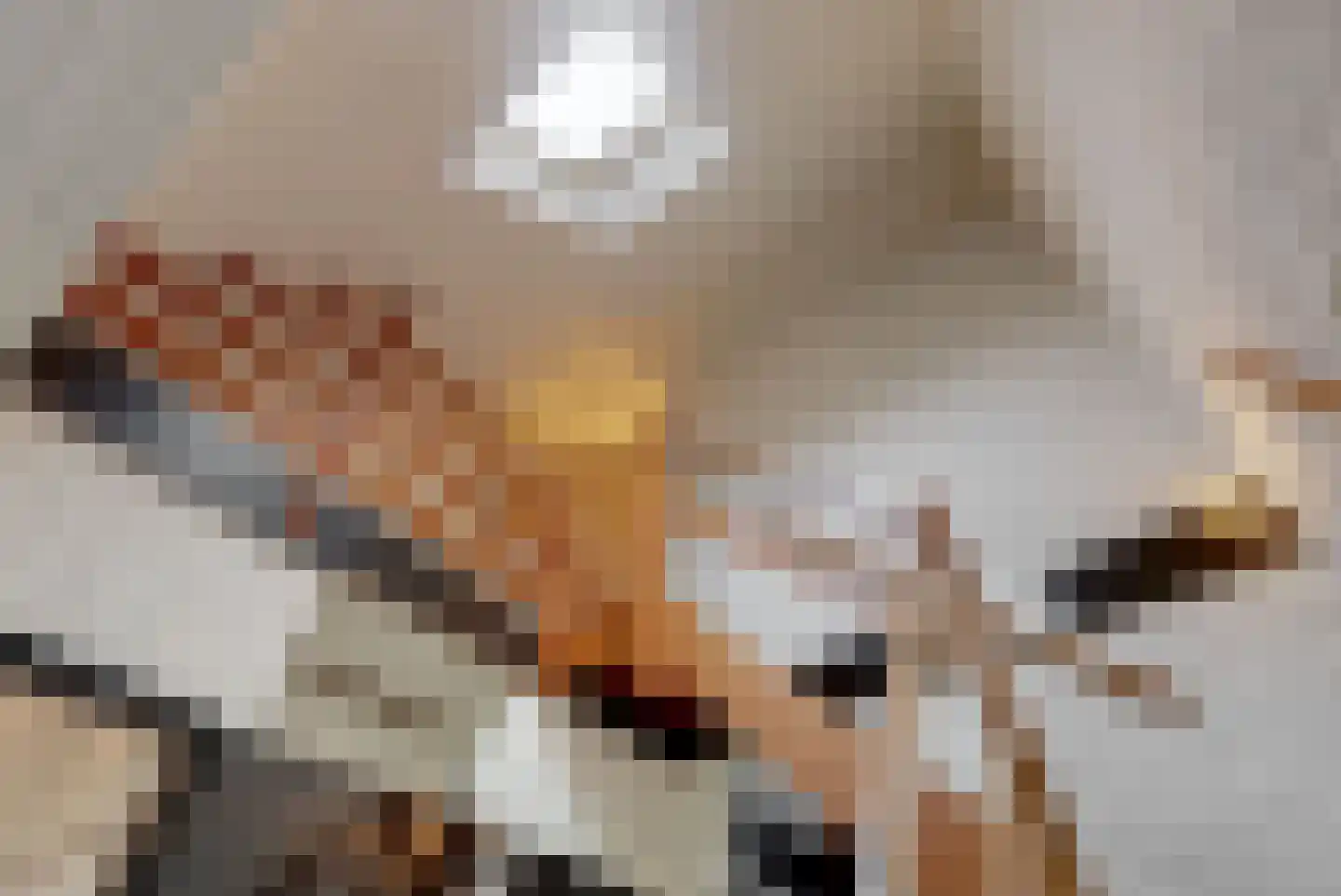 't Roems 9 Hoogkarspel thumbnail 11
