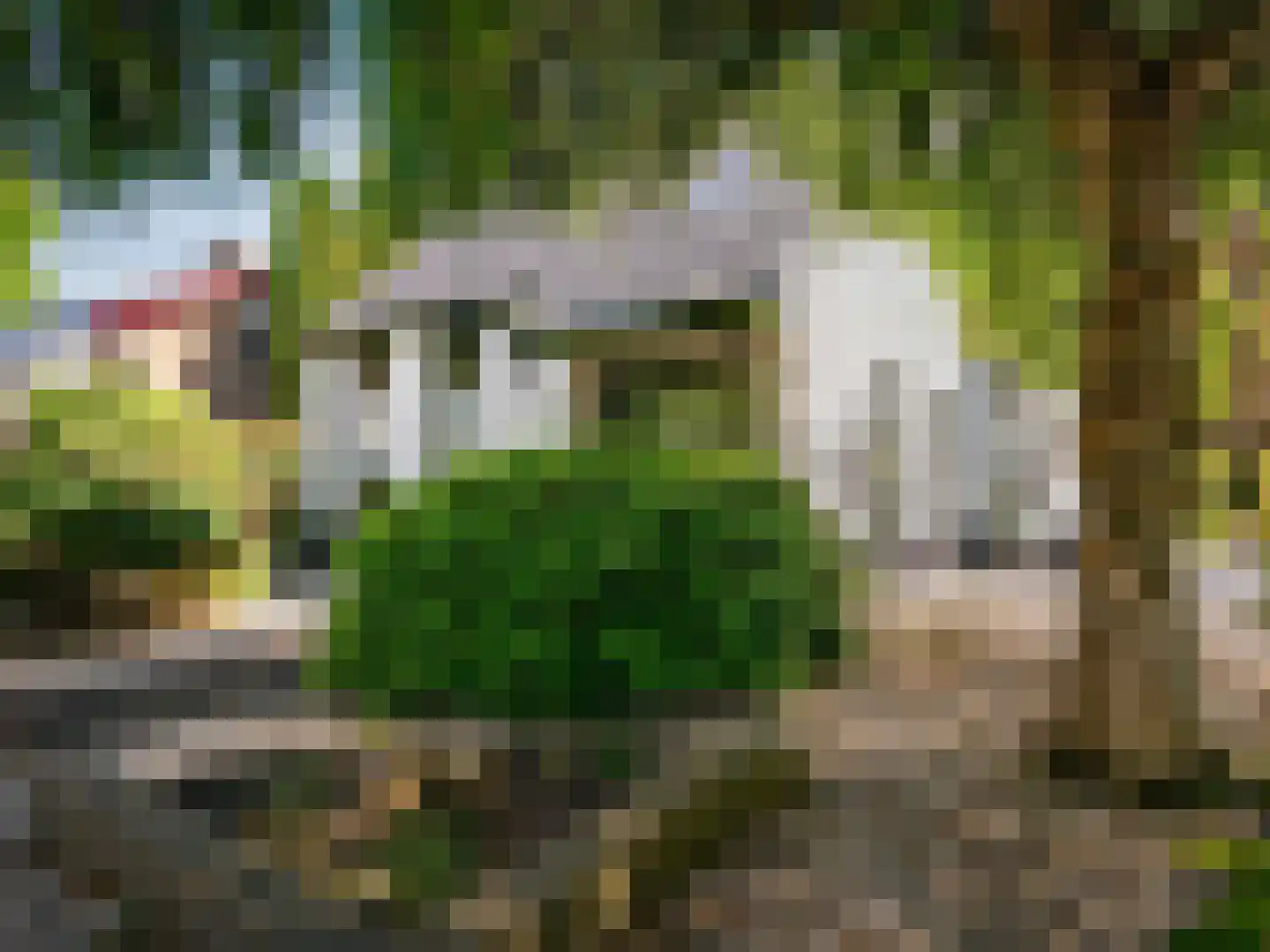 't Roems 9 Hoogkarspel thumbnail 12