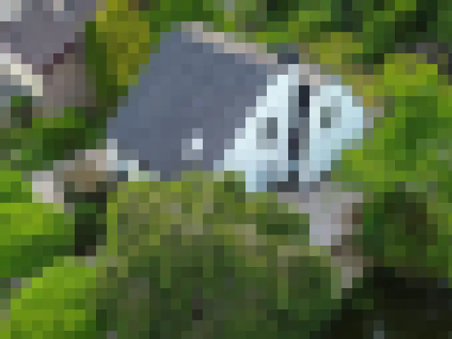 't Roems 9 Hoogkarspel thumbnail 13