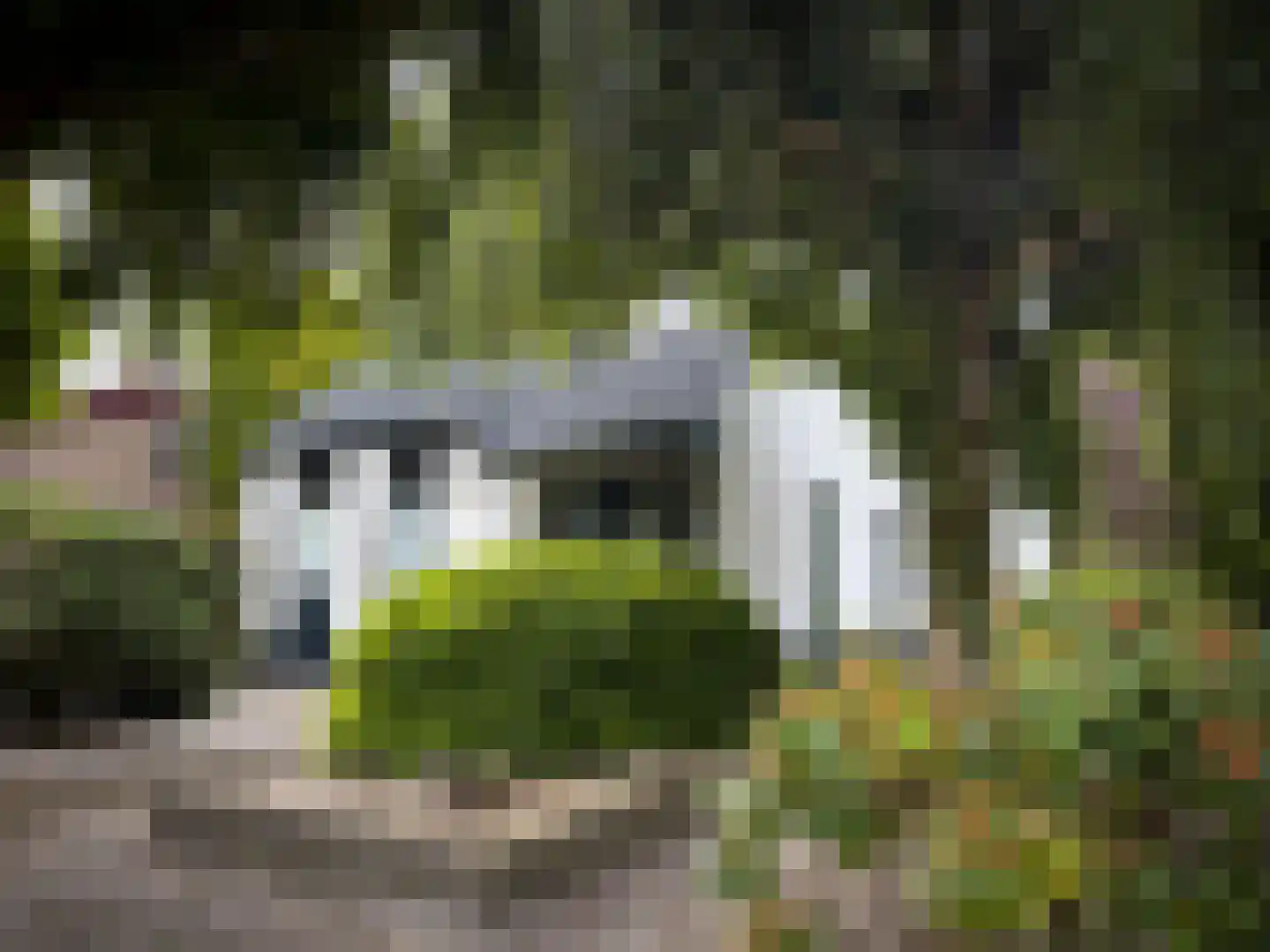 't Roems 9 Hoogkarspel thumbnail 14