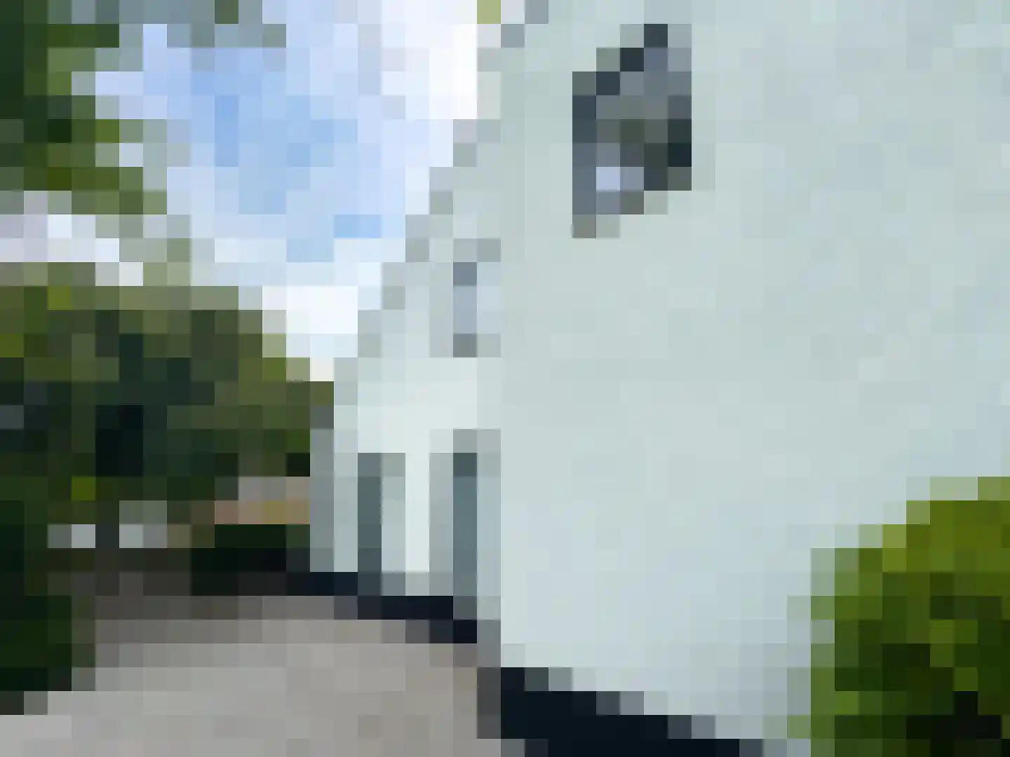 't Roems 9 Hoogkarspel thumbnail 15