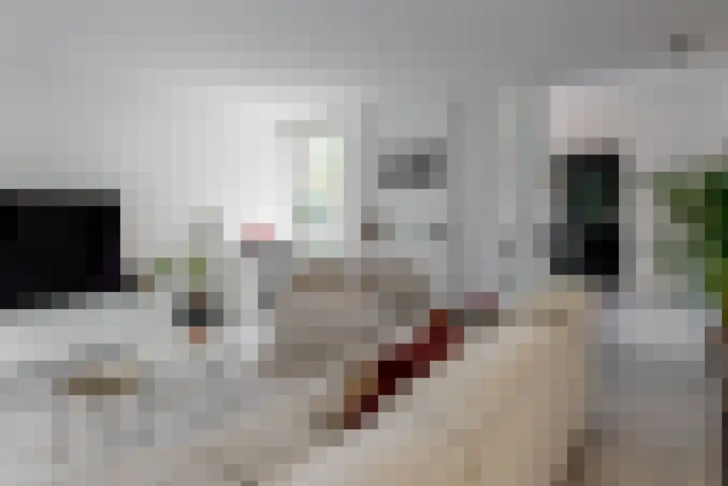 't Roems 9 Hoogkarspel thumbnail 15