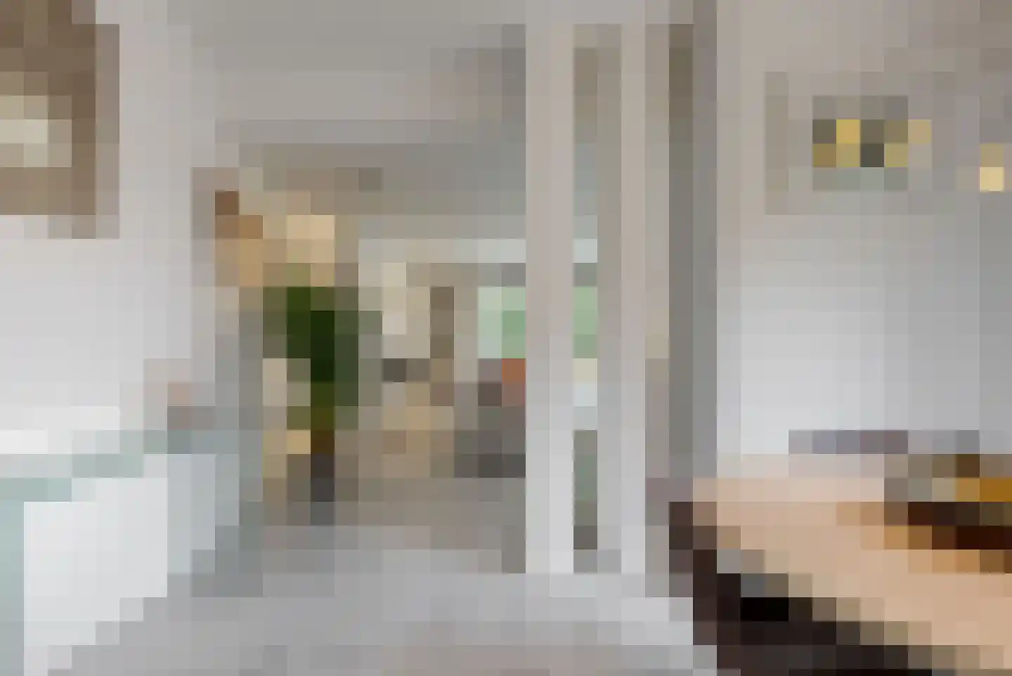 't Roems 9 Hoogkarspel thumbnail 16