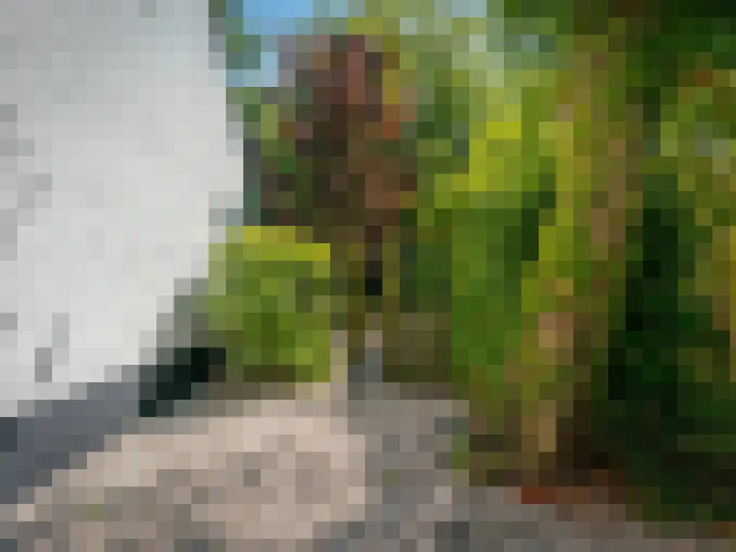 't Roems 9 Hoogkarspel thumbnail 17