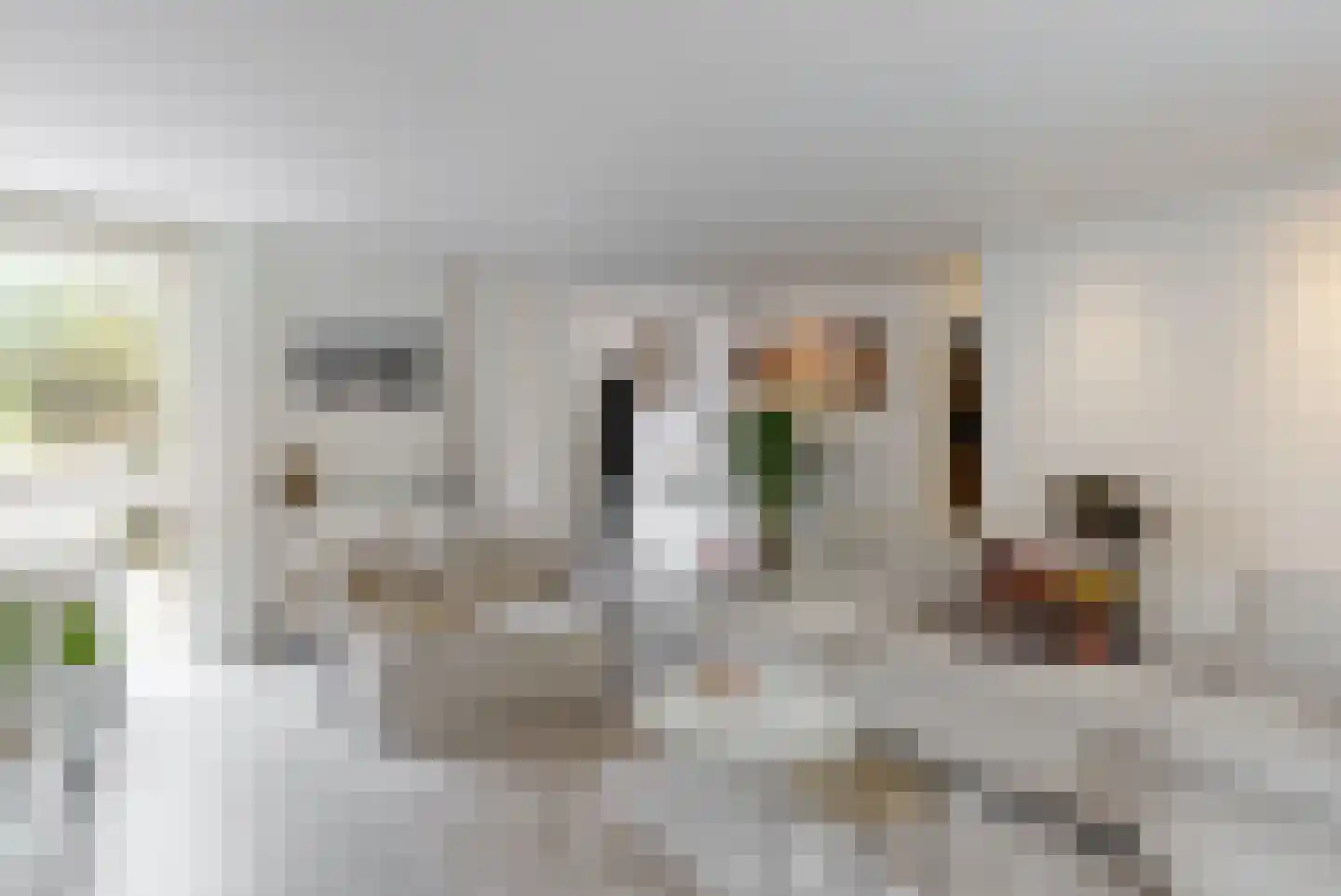 't Roems 9 Hoogkarspel thumbnail 17