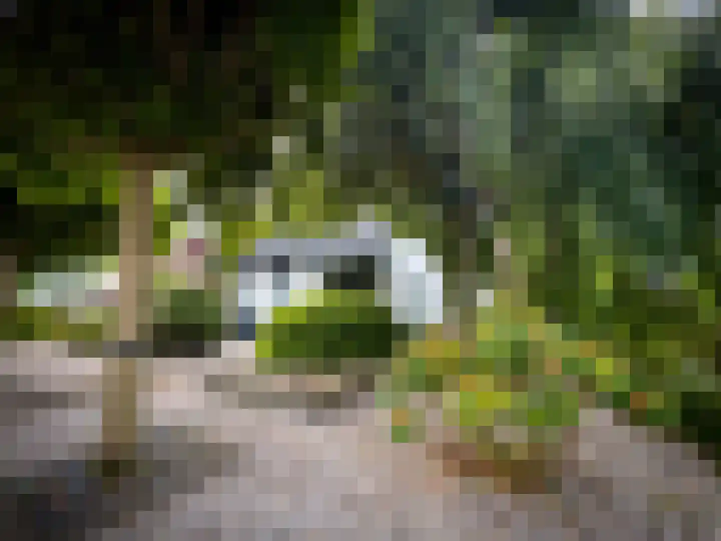 't Roems 9 Hoogkarspel thumbnail 18