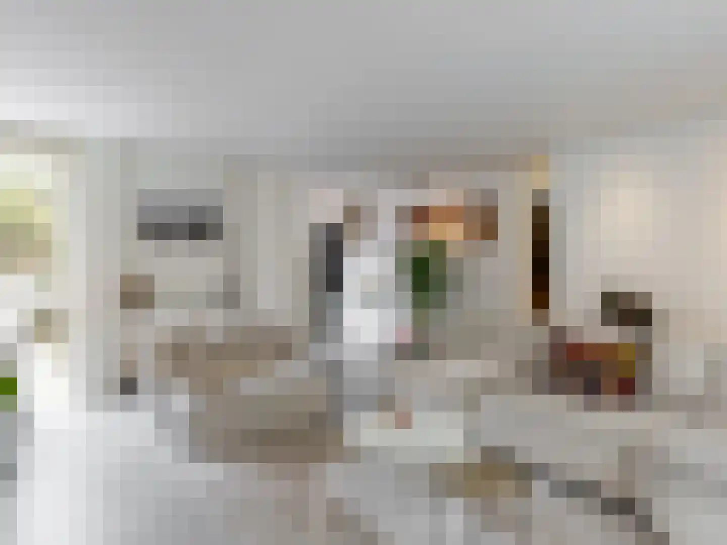 't Roems 9 Hoogkarspel thumbnail 19