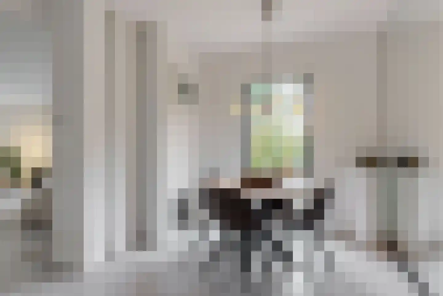 't Roems 9 Hoogkarspel thumbnail 19