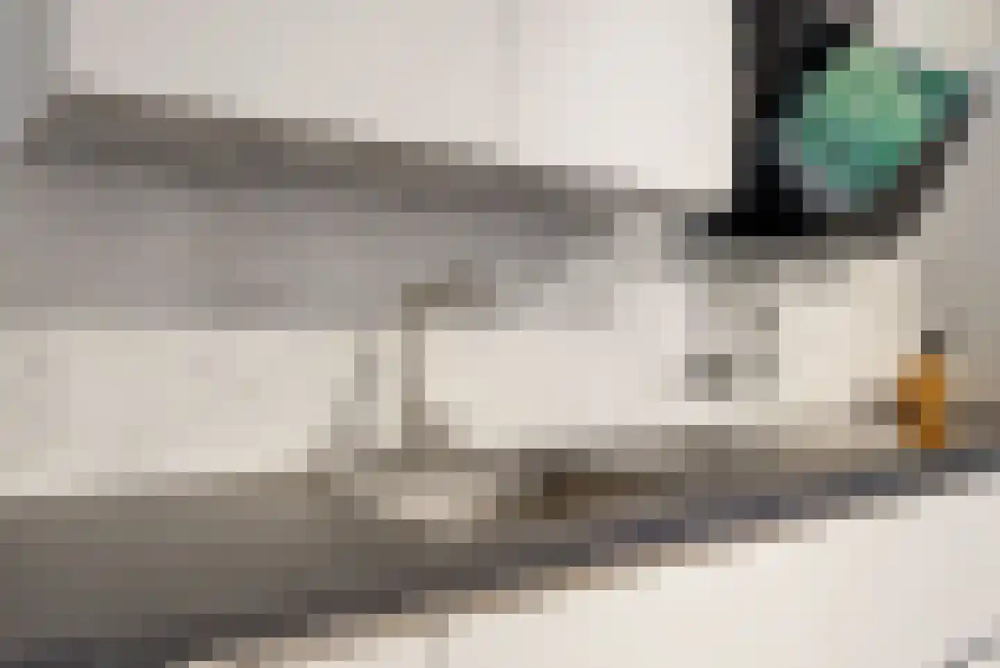 't Roems 9 Hoogkarspel thumbnail 22