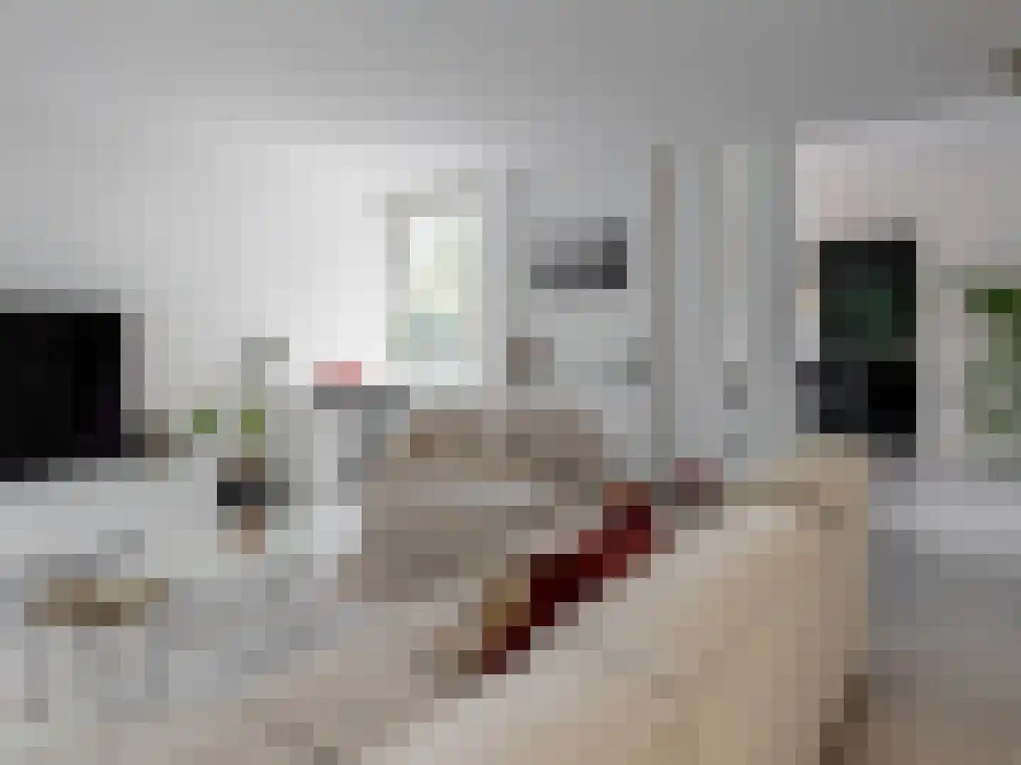 't Roems 9 Hoogkarspel thumbnail 22