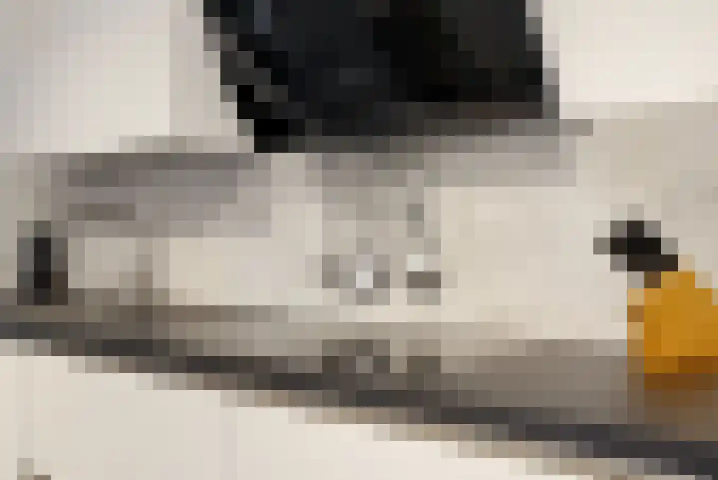 't Roems 9 Hoogkarspel thumbnail 23