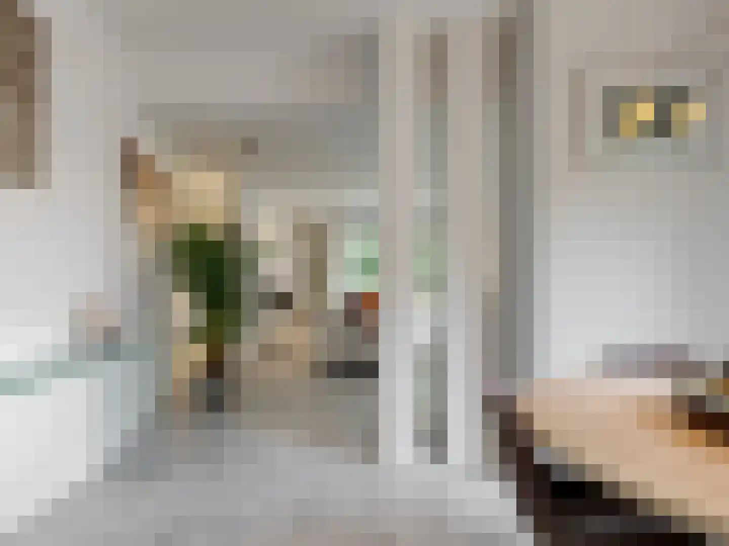 't Roems 9 Hoogkarspel thumbnail 23