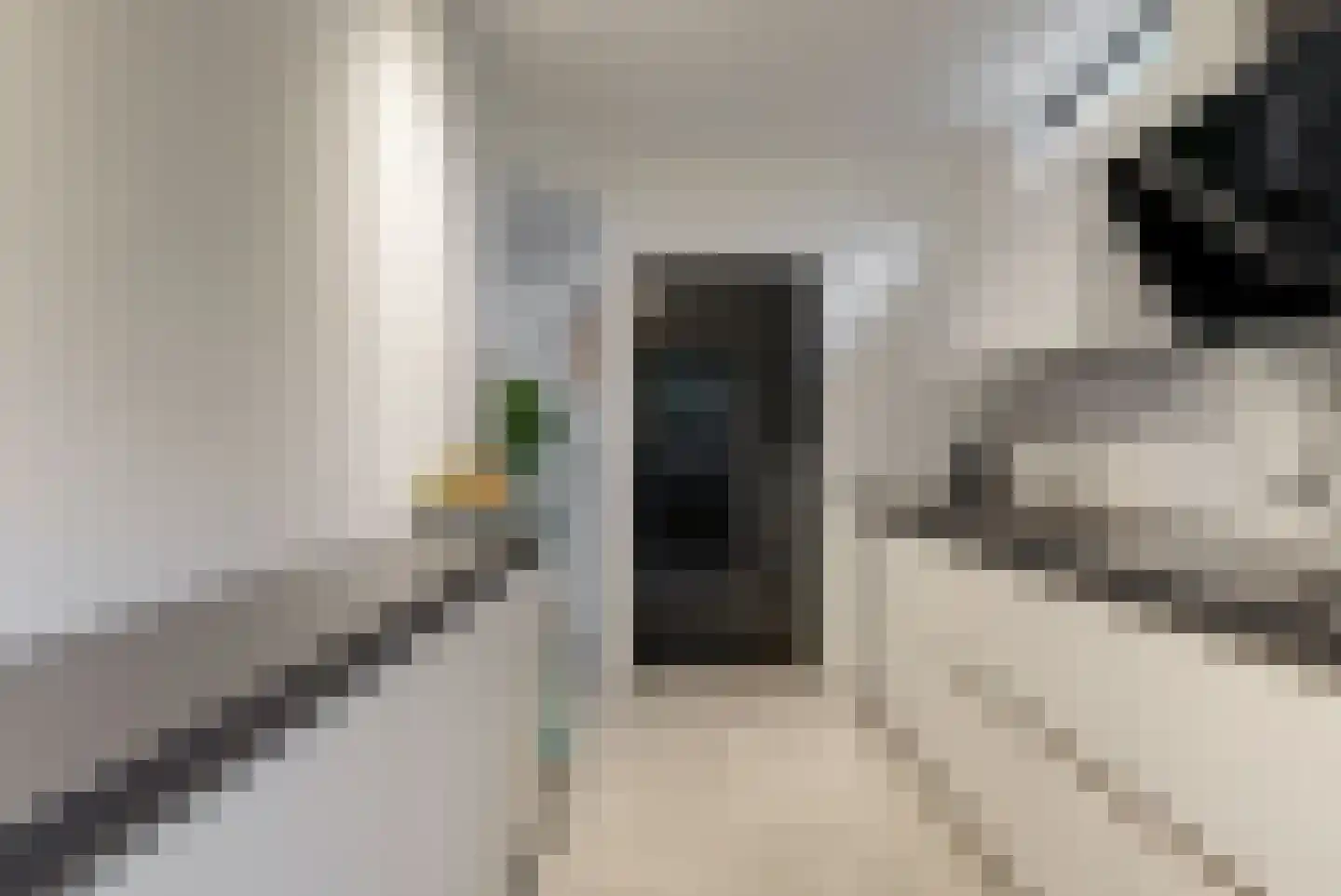 't Roems 9 Hoogkarspel thumbnail 24