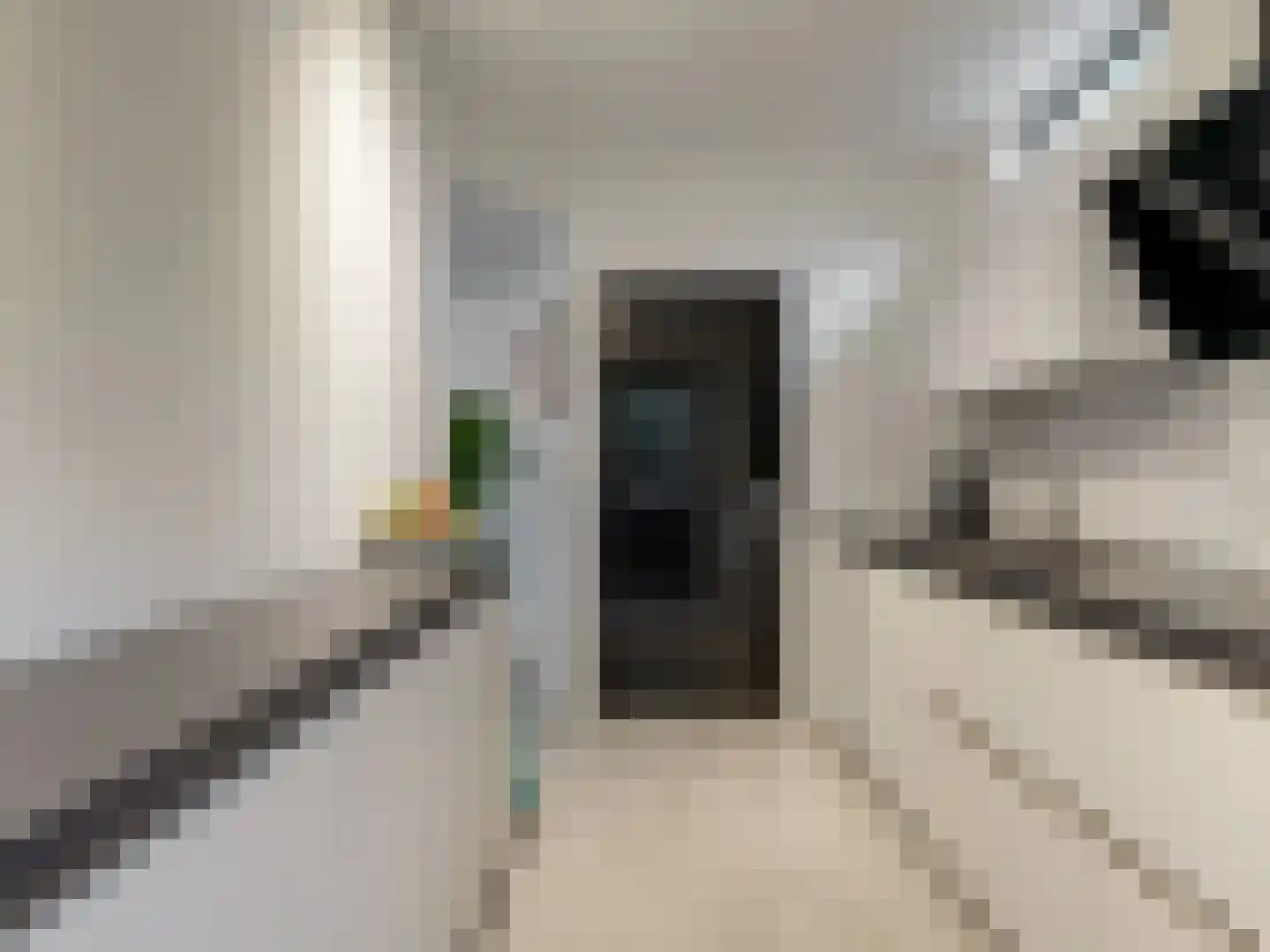 't Roems 9 Hoogkarspel thumbnail 28