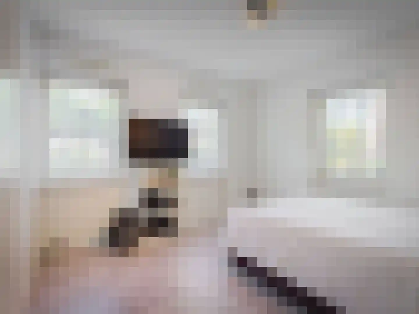 't Roems 9 Hoogkarspel thumbnail 32