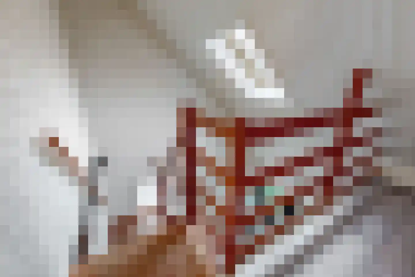 't Roems 9 Hoogkarspel thumbnail 33