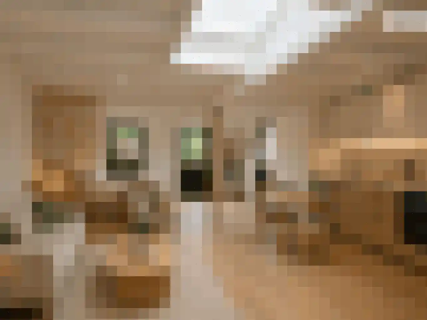 't Roems 9 Hoogkarspel thumbnail 35