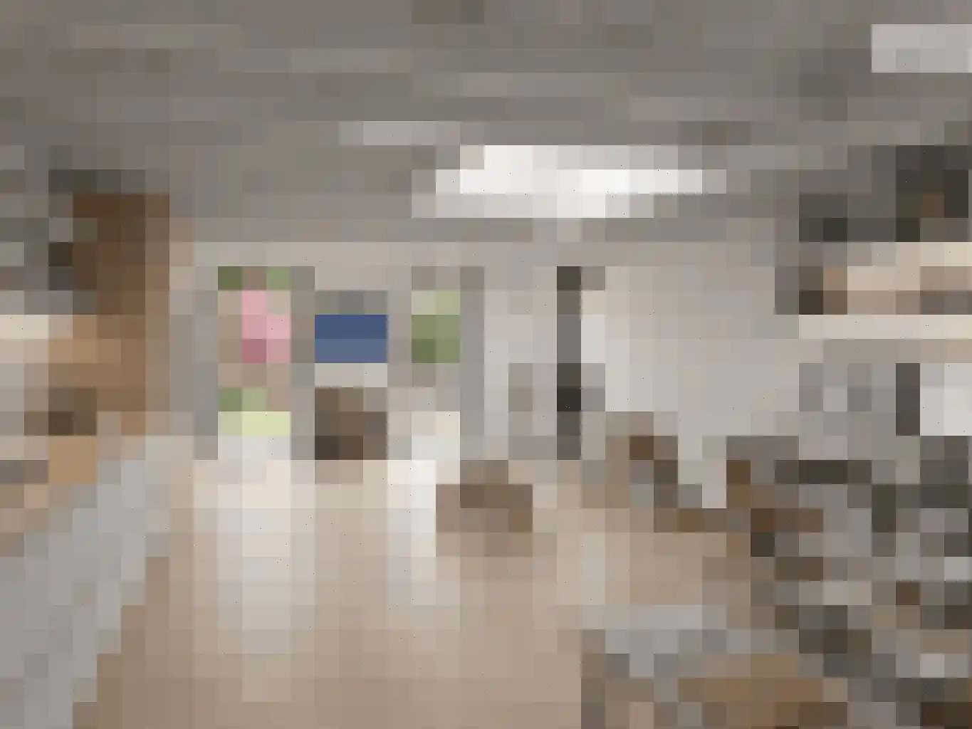 't Roems 9 Hoogkarspel thumbnail 36