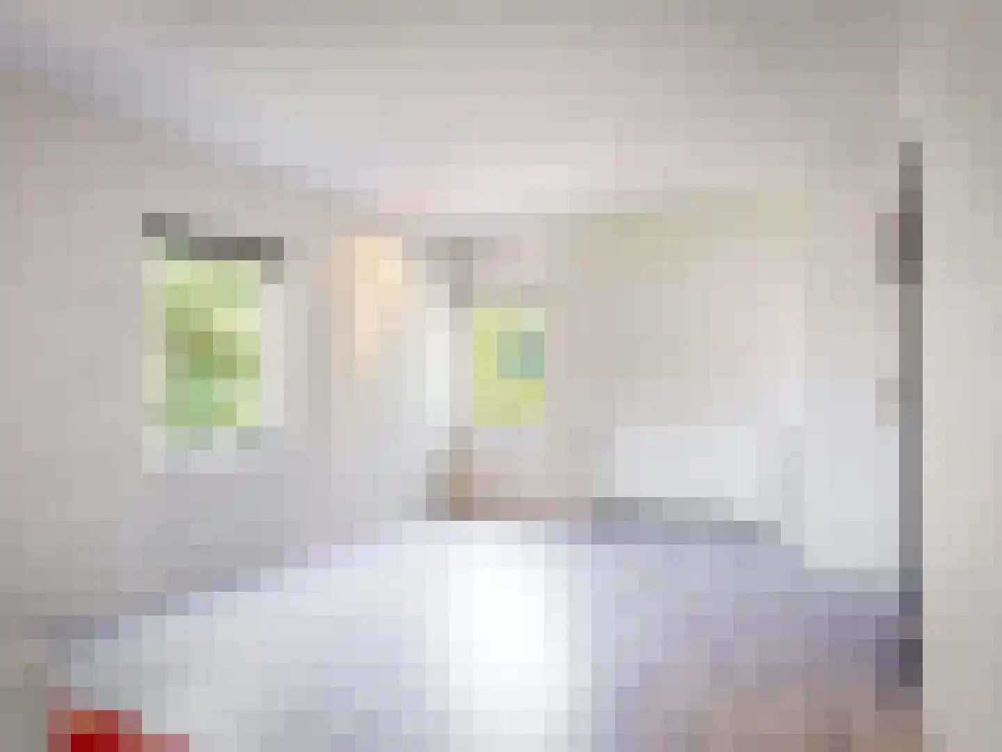 't Roems 9 Hoogkarspel thumbnail 42