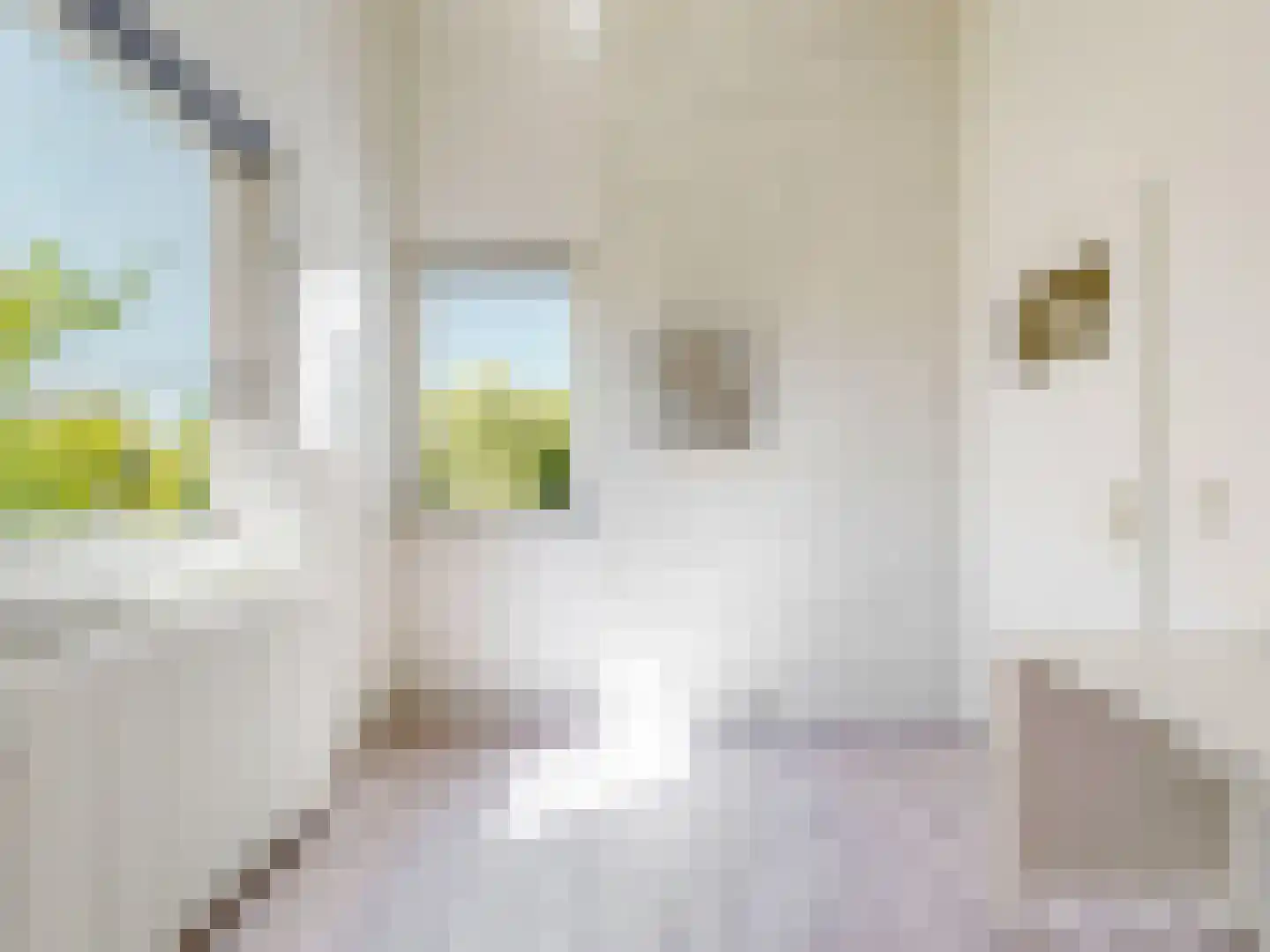 't Roems 9 Hoogkarspel thumbnail 45