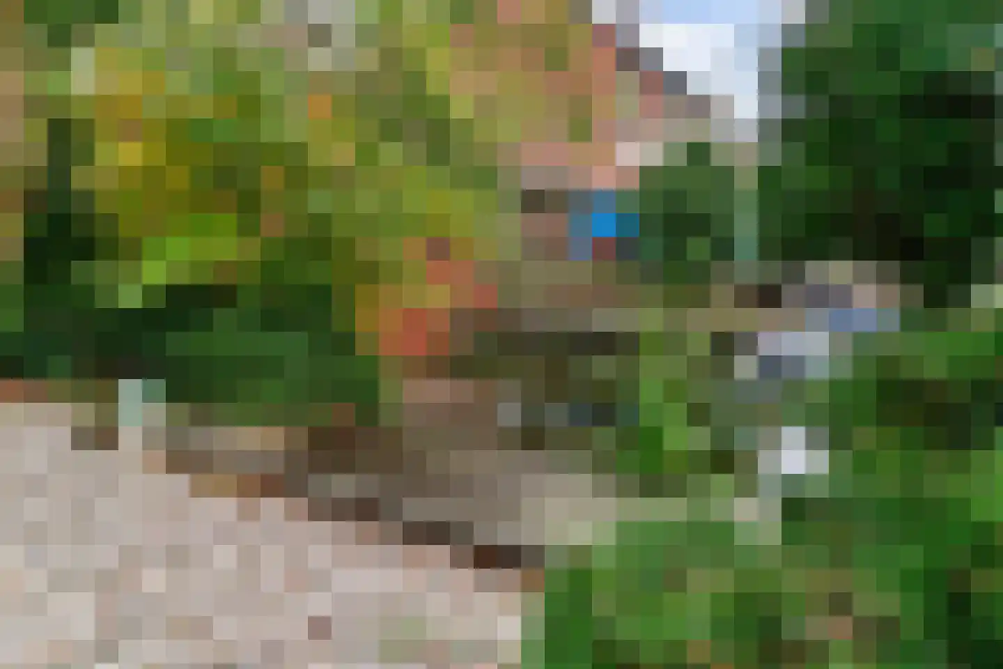 't Roems 9 Hoogkarspel thumbnail 45