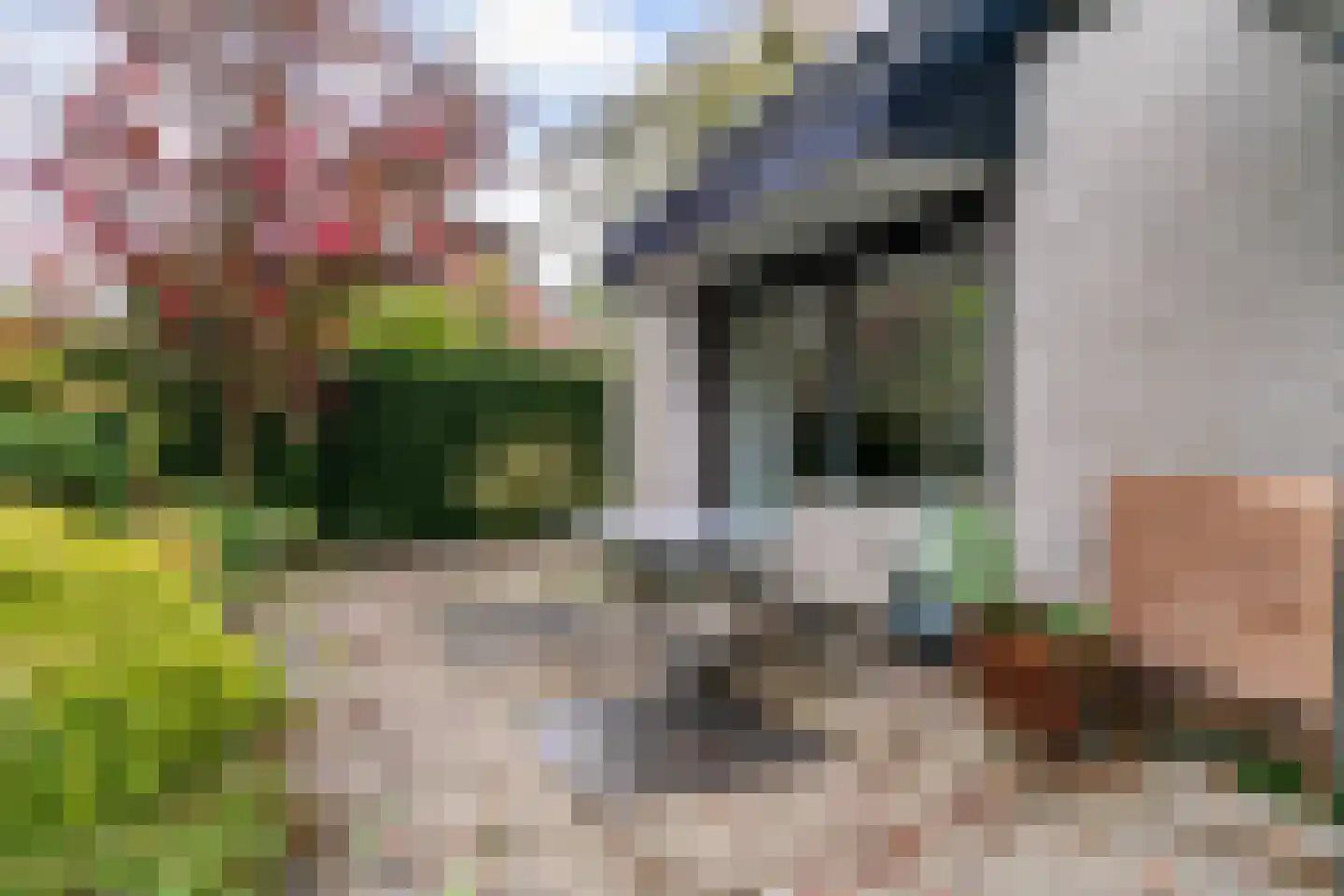 't Roems 9 Hoogkarspel thumbnail 46