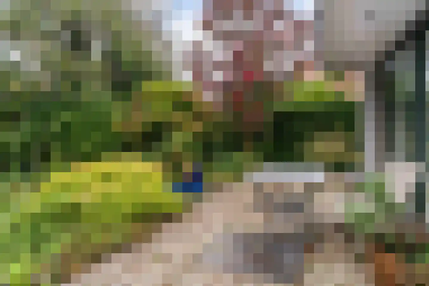 't Roems 9 Hoogkarspel thumbnail 47