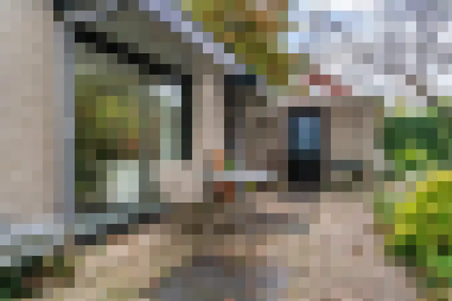 't Roems 9 Hoogkarspel thumbnail 48