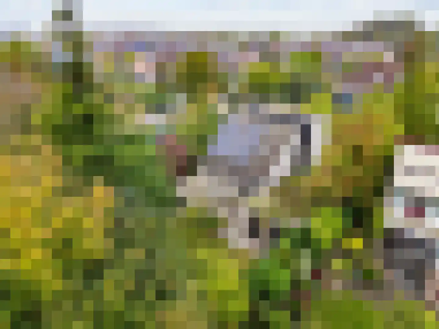 't Roems 9 Hoogkarspel thumbnail 5
