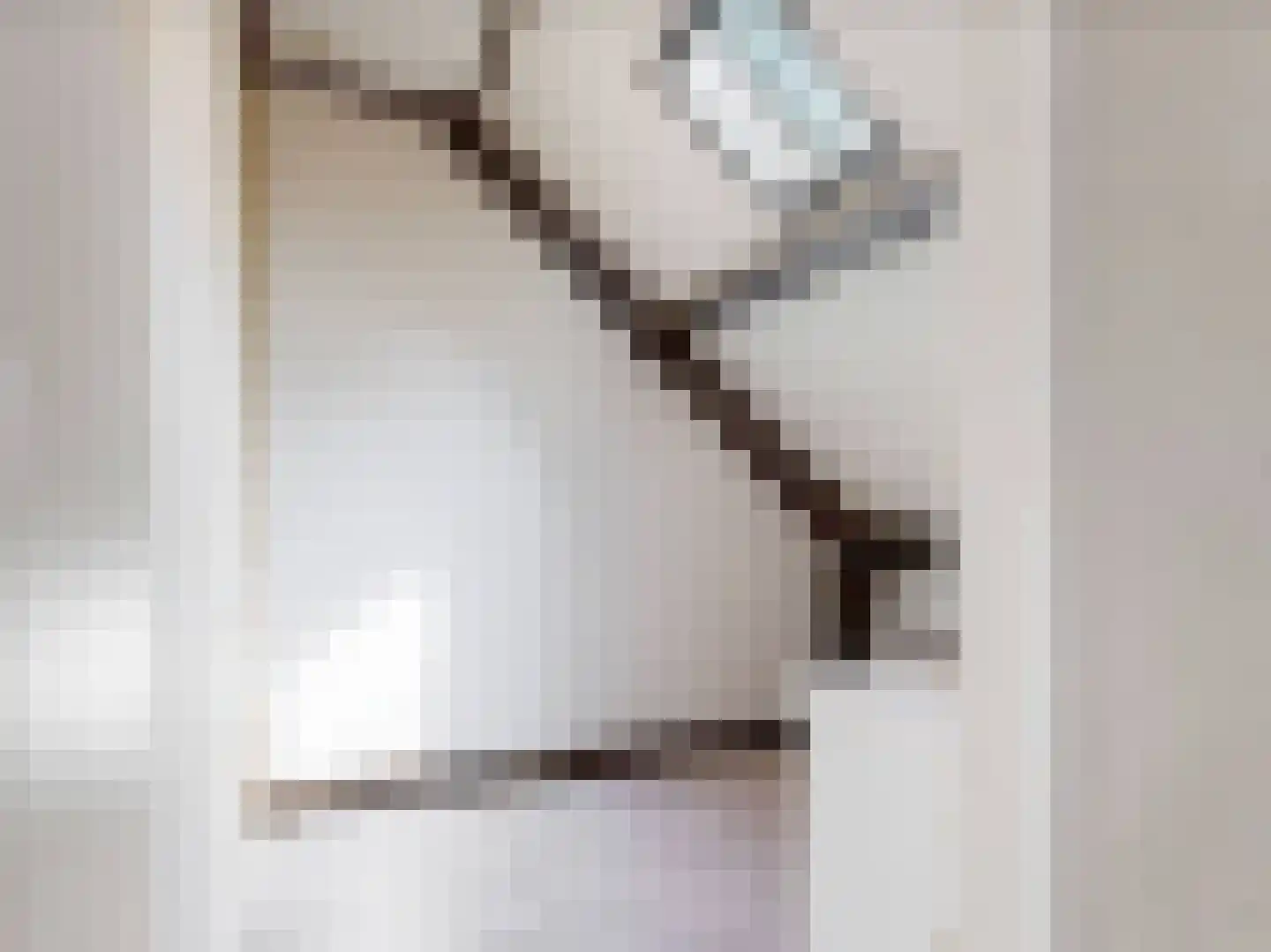 't Roems 9 Hoogkarspel thumbnail 51