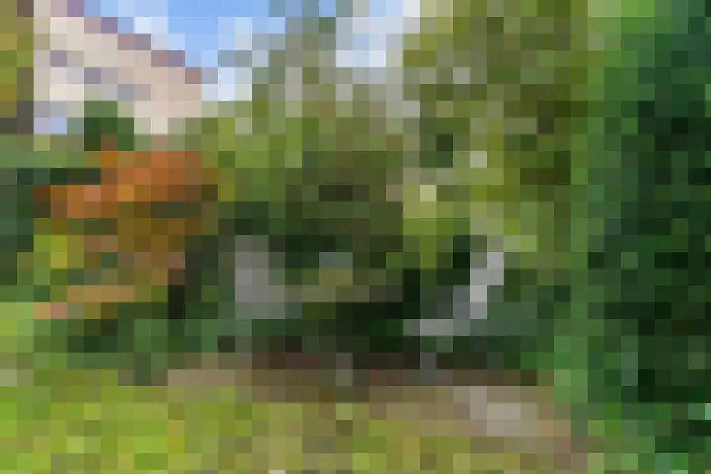 't Roems 9 Hoogkarspel thumbnail 51
