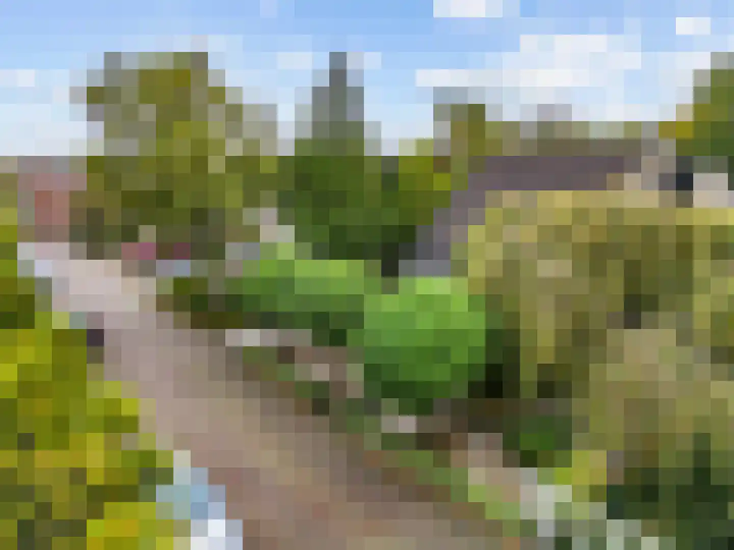 't Roems 9 Hoogkarspel thumbnail 52