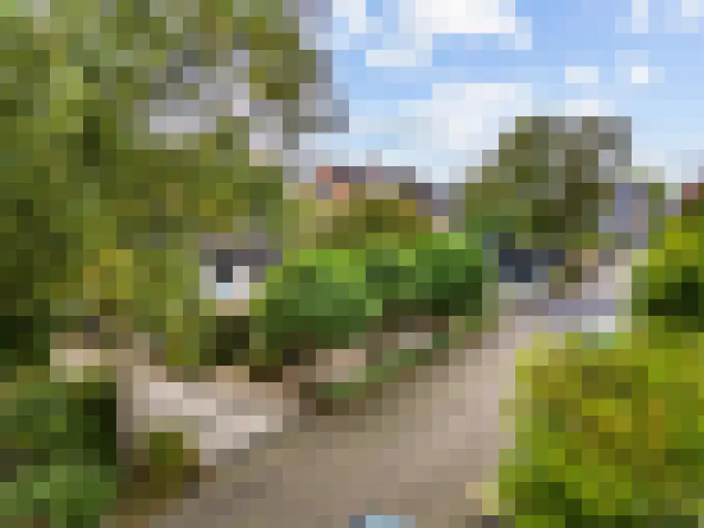 't Roems 9 Hoogkarspel thumbnail 53
