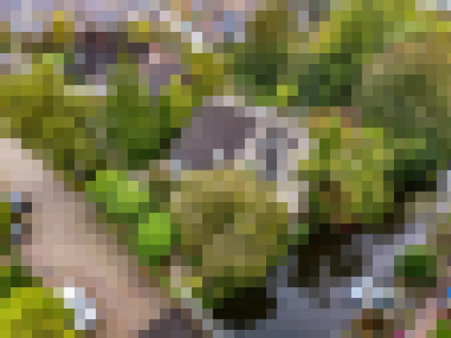 't Roems 9 Hoogkarspel thumbnail 54